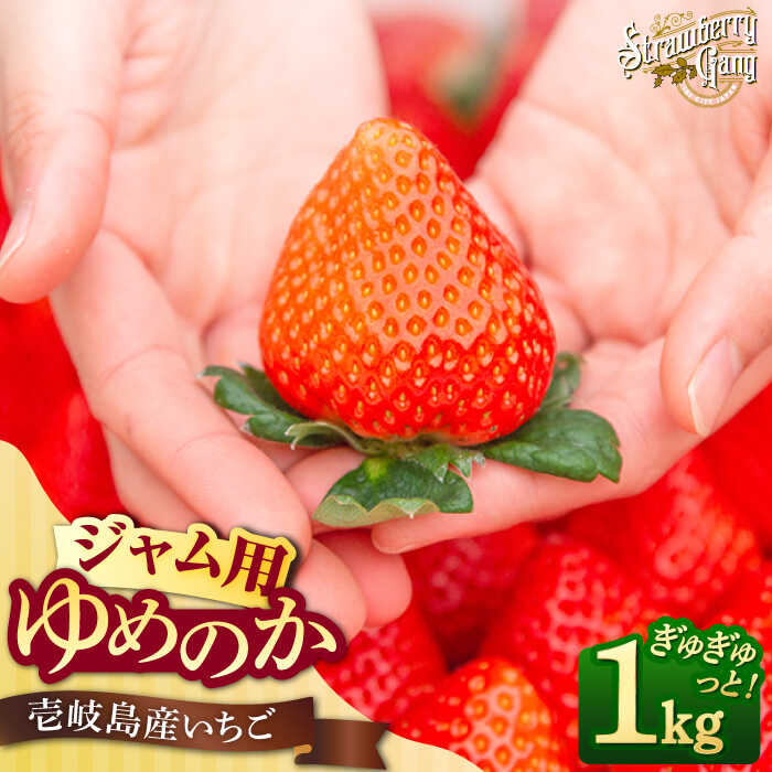 【ふるさと納税】【ジャム用】ゆめのか （小玉・中玉） 1kg 《壱岐市》【Strawberry Gang】[JEM007] セット いちご イチゴ 苺 果物 フルーツ スムージー お菓子作り ジャム 材料 訳あり