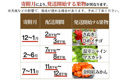 三豊市産 人気の厳選フルーツ定期便(年3回)