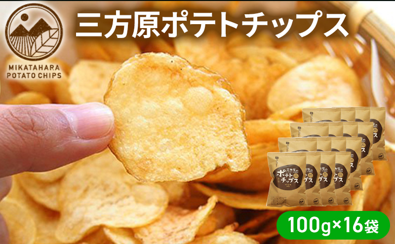 【2025年6月中旬以降順次発送】三方原ポテトチップス 100g×16袋 スイーツ お菓子 スナック 駄菓子 