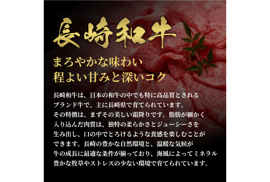 AI277 長崎和牛 一頭分買い 一括納品 [ 肉 和牛 牛肉 Giverichホールディングス 長崎県 島原市 ]