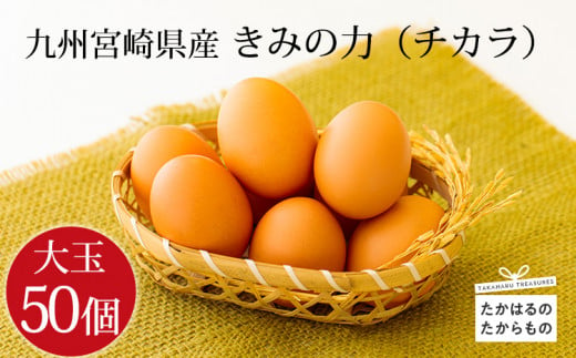 宮崎県産の新鮮たまご『きみの力(チカラ)』お試し50個Lサイズの赤卵 ミネラルたっぷりのカキガラや上質な飼料ですくすく育った鶏の卵は甘くておいしい逸品[赤たまご 赤玉子 大容量 大玉 8000円 8千円] TF0793-P00035