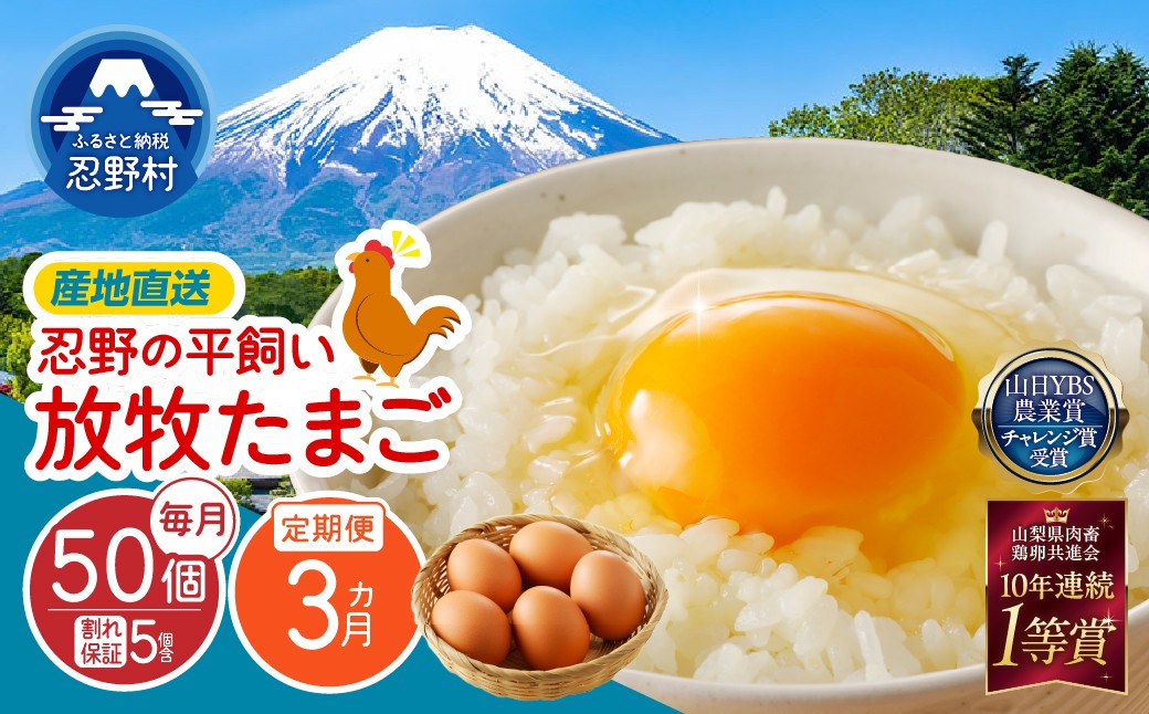 
                  【3ヶ月定期便】忍野の平飼い放牧卵150個（毎月50個×3回） ※割れ保証含む　[アニマルウェルフェア 卵 定期便 定期 国産 産地直送 毎月 生卵 玉子 たまご 卵かけご飯 卵焼き 親子丼 目玉焼き すき焼き オムライス オムレツ スイーツ作り 料理 調理 人気 鶏卵 鶏 新鮮 3ヵ月 3か月 山梨県 忍野村]
                