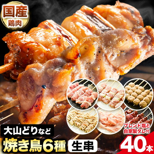 【ふるさと納税】大山どり もも串 など 人気 焼き鳥 串 40本 セット 生串 《90日以内に出荷予定(土日祝除く)》 株式会社ダブルノット 鳥取県 八頭町 焼き鳥 肉 鶏 鶏肉 もも ねぎま つくね もも やげんなんこつ レバー 塩 たれ