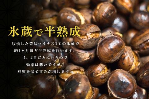 倉方甘栗の焼き栗 450g 11月以降発送 栗 和栗 くり 焼栗 自然 倉方 甘栗 果物 フルーツ 日本 国産 茨城 茨城県産 秋 冬 55-A