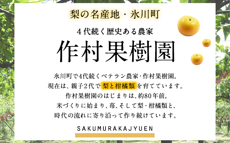 【先行予約】作村果樹園のあきづき梨 約5kg(9〜13玉前後) 熊本県氷川町産 作村果樹園《8月下旬-9月末頃出荷》梨 なし