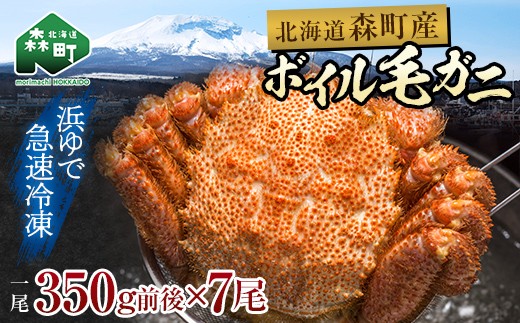 
            【訳あり】北海道・噴火湾産冷凍ボイル毛ガニ約350g前後×7尾 ＜海鮮問屋　株式会社　瑞宝＞ かに カニ 蟹 ガニ がに 森町 ふるさと納税 北海道 毛蟹 毛かに 毛ガニ 毛カニ 年内発送 mr1-1277
          