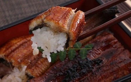 【定期便10回】定期便 海鮮  高知海鮮 yj039