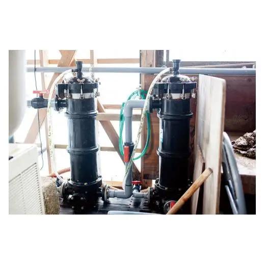 牡蠣 【 九十九島 】 牡蠣 3.5kg 産地直送 カキ A164
