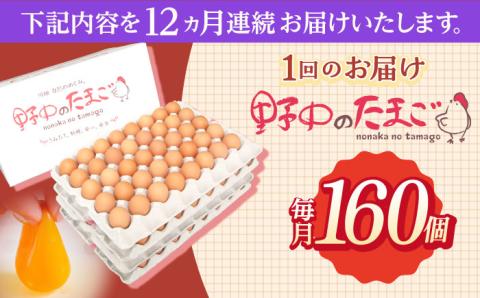 【12回定期便】産みたて新鮮卵 野中のたまご  160個×12回 計1920個【野中鶏卵】[OAC012] /卵 たまご 高級卵 卵焼き 卵かけご飯 たまご 濃厚たまご タマゴ