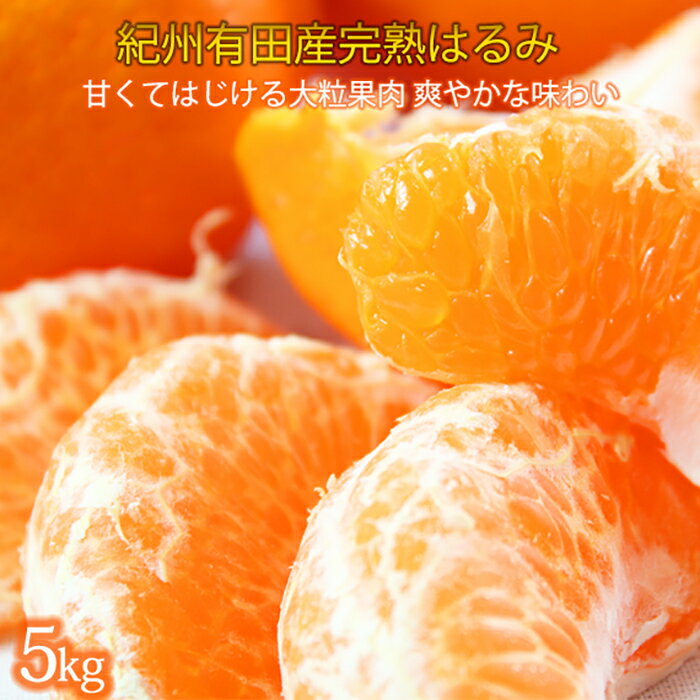 【ふるさと納税】果肉ぷりぷり!完熟はるみ　5kg［2027年2月上旬頃～2027年2月下旬頃に順次発送］［UT22］ | みかん 和歌山県 和歌山 九度山町 楽天ふるさと納税 楽天ふるさと 納税 返礼品 支援品 支援 返礼 フルーツ 果物 ふるーつ くだもの お取り寄せ