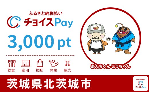 
            北茨城市チョイスPay 3,000pt【会員限定のお礼の品】
          