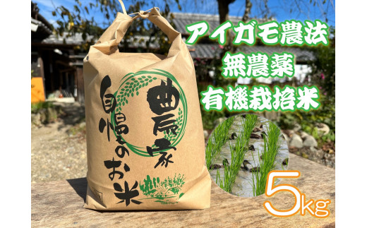 アイガモ農法で栽培した 無農薬 有機栽培米５kg お米 精米 こしひかり 兵庫県 多可町 ひのきもとさん