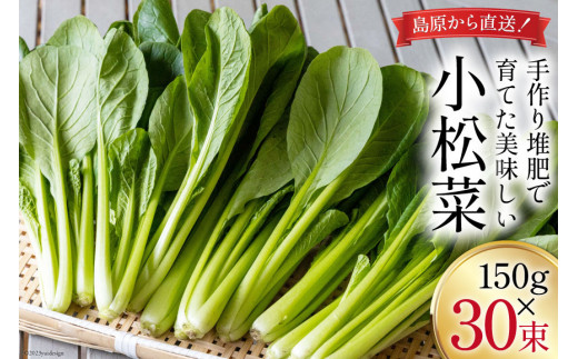 
【BH014】小松菜 150g×30束
