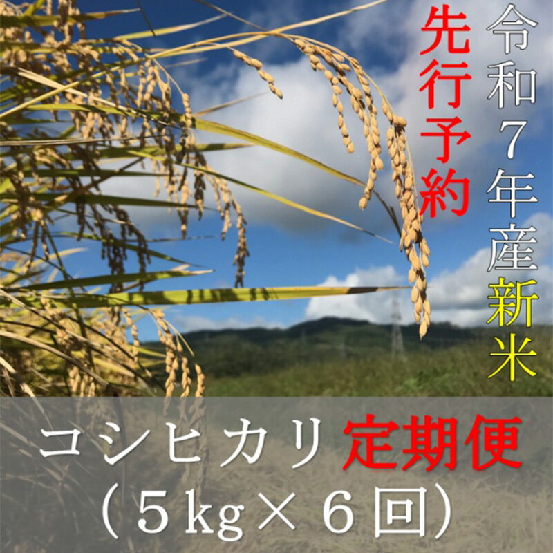 【ふるさと納税】令和7年産 コシヒカリ 【先行予約】【6か月定期便】 5kg×6回 計30kg （初回：令和7年10月初旬発送）【07208-0731】