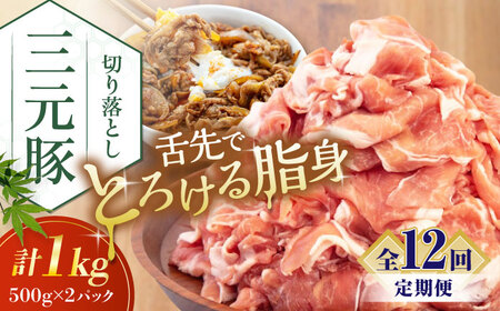 【全12回定期便】 三元豚 切り落とし 計1kg（500g×2パック） 《喜茂別町》【平田牧場】切り落とし 切り落とし 切り落とし 切り落とし 切り落とし 切り落とし [AJAP033] 132000 132000円