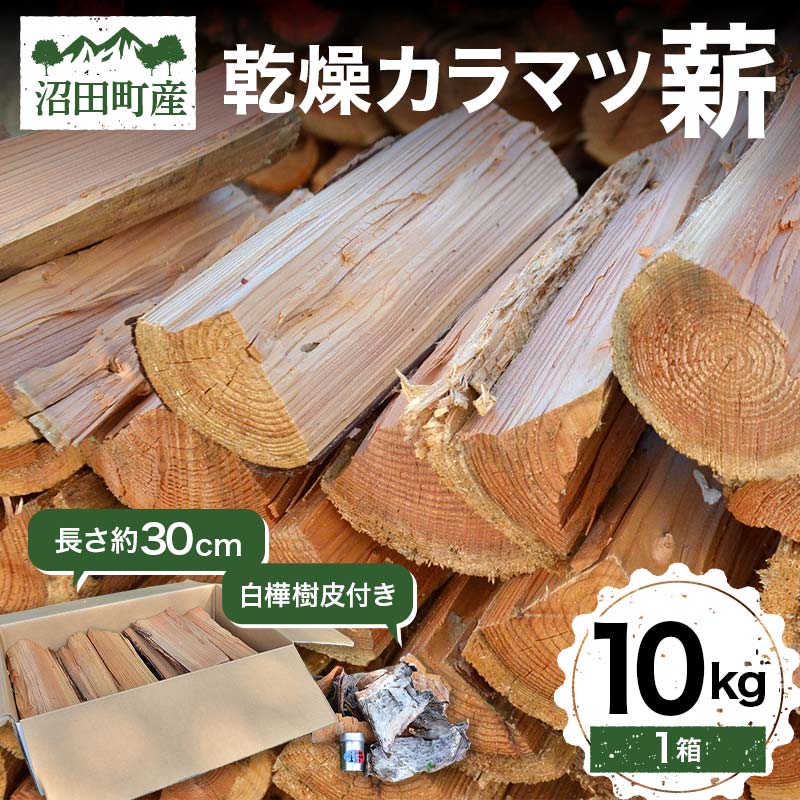 【ふるさと納税】乾燥カラマツ薪 長さ約30cm 10kg 白樺樹皮付き アウトドア キャンプ 日用品 焚き木 薪ストーブ 乾燥薪 薪 薪割り BBQ バーベキュー ソロキャンプ キャンプファイヤー 暖炉 石窯 燃料 SNS インスタ 沼田町産