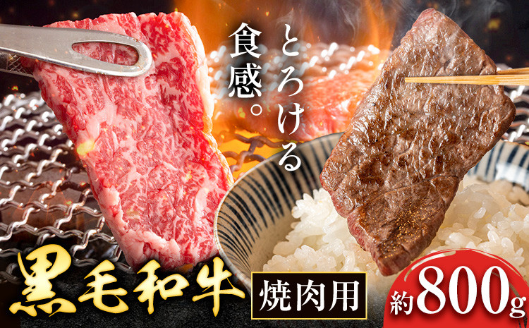 
            黒毛和牛 焼肉用 約800g  坂西商店《90日以内に出荷予定(土日祝除く)》 【配送不可地域あり】 熊本県 苓北町 肉 にく お肉 おにく 牛 牛肉 和牛 焼肉 やきにく ロース カルビ
          