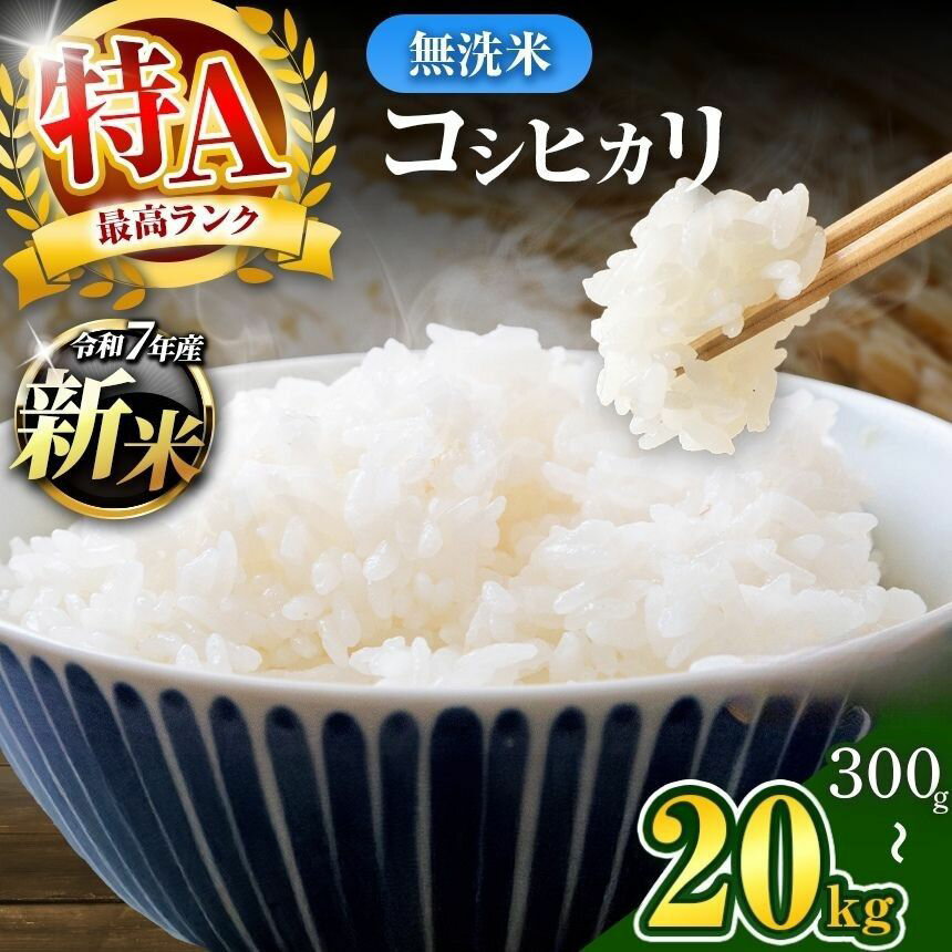 【ふるさと納税】無洗米 コシヒカリ 令和7年産 千葉県産 選べる容量 | コメ こめ お米 白米 ふっくら もちもち こしひかり おにぎり お弁当 千葉ふるさと蔵 イチオシ 千葉県 小分け 人気