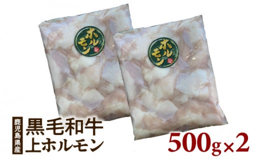 鹿児島県産黒毛和牛　上ホルモン1kg　K328-012