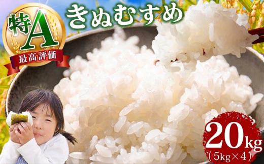 岡山県産  特A「 きぬむすめ 」20kg 令和7年産 　9月発送