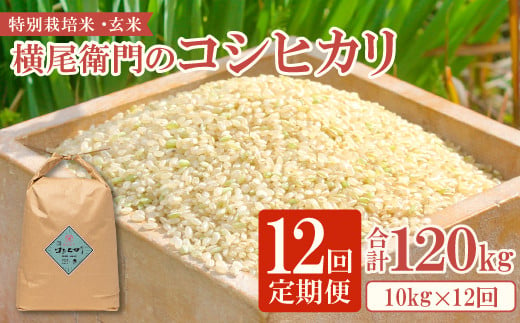 【定期便】横尾衛門のコシヒカリ 玄米10㎏ 12回コース【新米 令和5年産 2023年産 定期便 定期 12回 米 お米 ブランド米 こしひかり コシヒカリ 玄米 10kg×12回 合計120kg】
