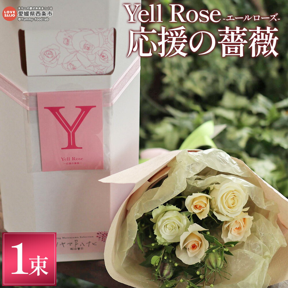【ふるさと納税】＜Yell Rose（応援の薔薇 エールローズ）＞※最短2週間～1か月程度で出荷予定 波動薔薇 バラ ばら 生花 お花 植物 応援花 おうえんか お礼 ギフト 贈り物 プレゼント ご褒美 ベルローズ 愛媛県 西条市【冷蔵】