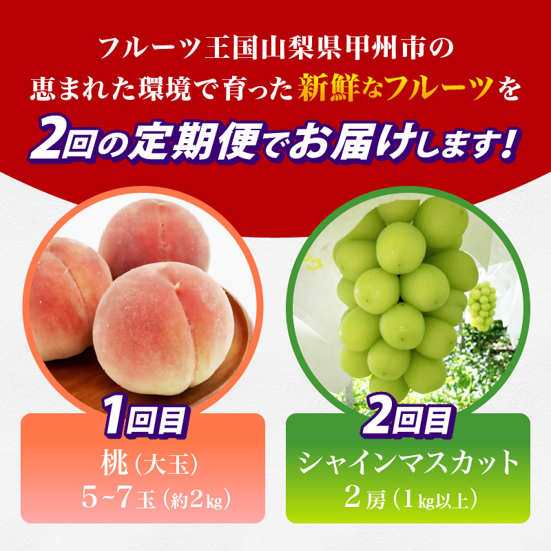 【定期便】甲州の名産品が詰まった厳選フルーツ2回定期便 桃・シャインマスカット【2026年発送】（IS）C-465