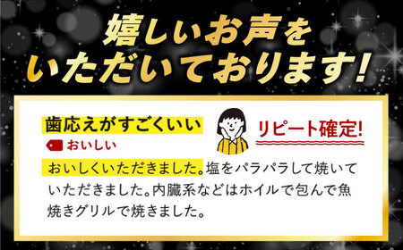 【全12回】冷凍鶏肉 地鶏 一黒シャモ 約1kg 鶏肉[XAH010]