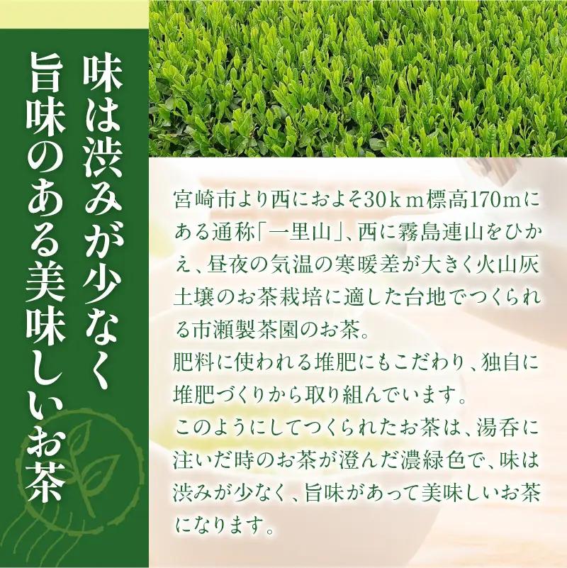 創業明治15年宮崎美老園銘茶詰め合わせAセット(宮崎市高岡町一里山産煎茶) 茶葉 茶 お茶