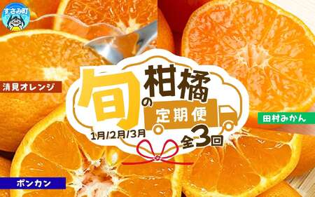定期便【全3回/1・2・3月】人気のみかんを集めた！旬の柑橘定期便 / 定期便 みかん 果物 柑橘 フルーツ オレンジ ミカン 和歌山 有田みかん【tkb111】