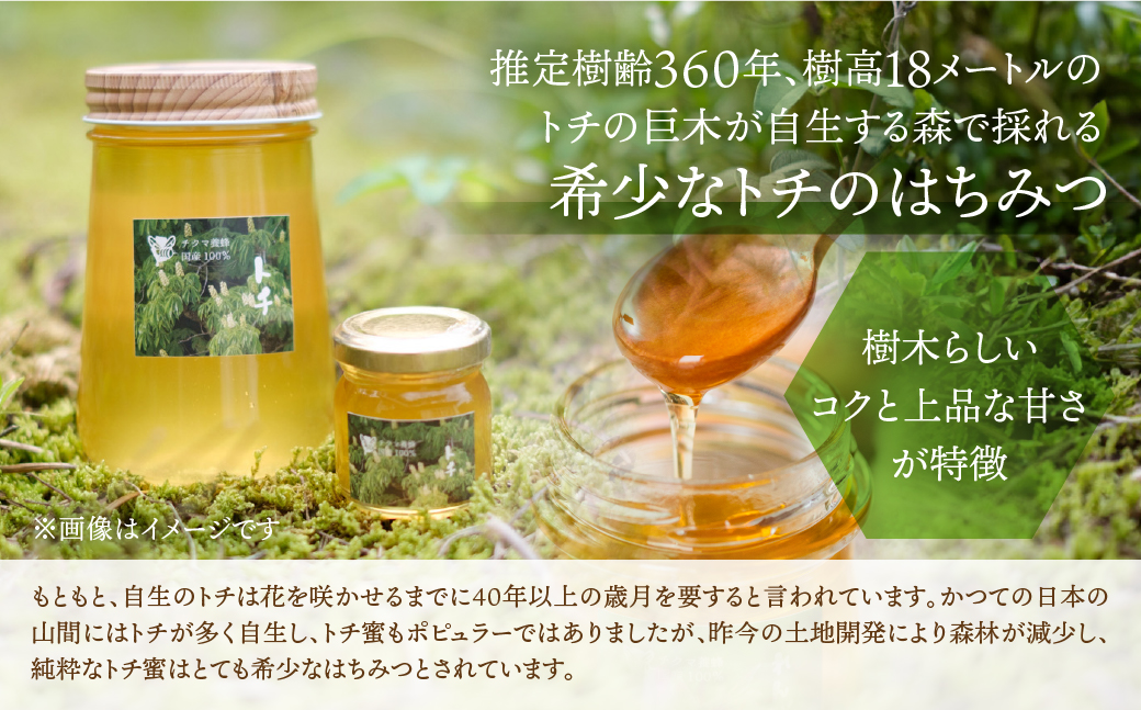 [ 国産はちみつ ]  とち蜜 280g×1本 国産 トチ 常温 純粋 はちみつ ハチミツ 蜂蜜 ハニー ボトル たれにくい チクマ養蜂 朝食 パン トースト ヨーグルト ランキング 人気 ギフト 岐