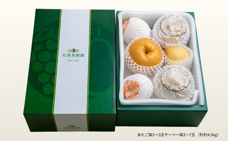梨 詰め合わせ あたご梨2～3玉 ヤーリー梨3～7玉 計4.5kg 贈答箱 赤秀 岡山県産 | 愛宕梨 ヤーリー梨 鴨梨 梨 特選品 上級品 贈り物 御歳暮 果物 くだもの フルーツ 石原果樹園 【ishk026-01】