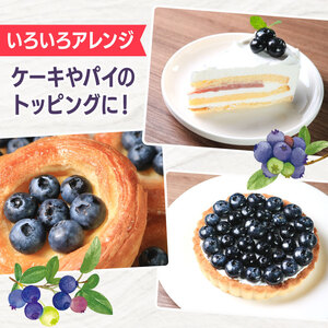 冷凍ブルーベリー 約500g（1袋500g） ブルーベリー ブルーベリー ブルーベリー ブルーベリー ブルーベリー アグリモバード