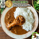 【ふるさと納税】 カレー レトルト 阿波尾鶏 5食入り 骨つき地鶏のごちそうカレー 徳島 地鶏 あわおどり お手軽調理 簡単調理