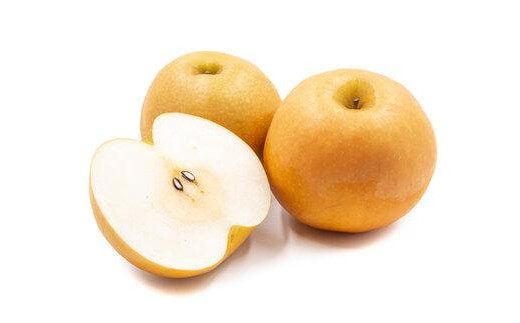 927.【訳あり】新興梨 4kg（4～16玉前後）※2025年10月上旬～11月下旬頃に順次発送予定【先行予約 梨 なし 果物 フルーツ くだもの 鳥取県 北栄町 おすすめ 人気 送料無料】