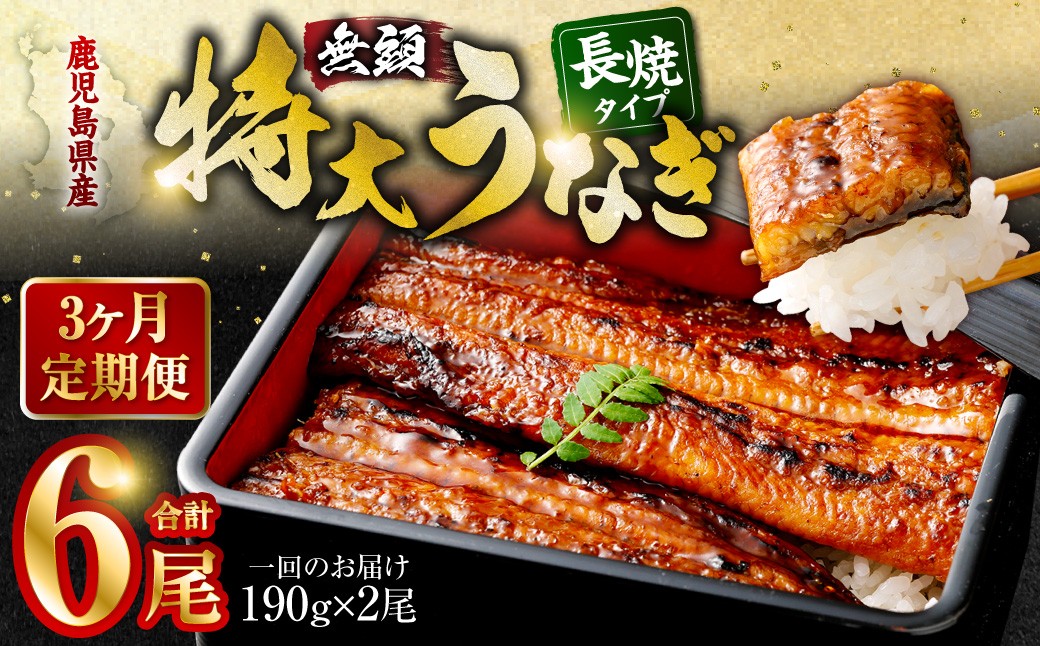 
DS-605【3カ月定期便】 九州産うなぎ蒲焼 約170g×2尾×3回　
