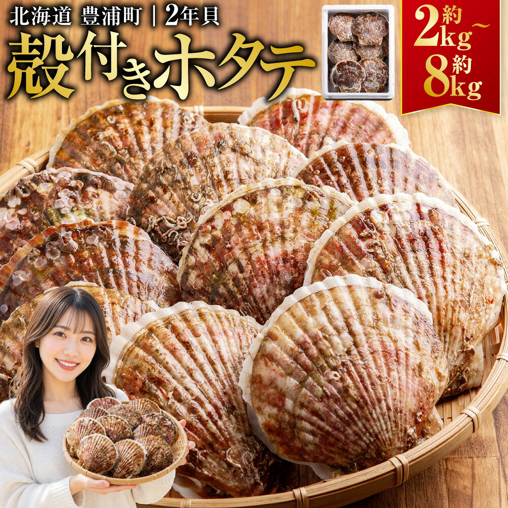 【ふるさと納税】【先行予約】北海道 豊浦町 殻付き 2年貝 活ホタテ 選べる 約2kg ～ 約8kg【2027年1月下旬～3月下旬発送予定】ほたて 帆立 シーフード 海鮮 BBQ