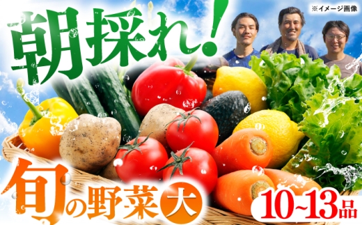 土佐の太陽をいっぱいに浴びた旬の野菜セット「大」【土佐野菜】 [ATBA002] 野菜