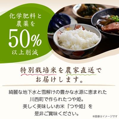 ふるさと納税 川西町 令和7年産　山形県産　つや姫　4kg |  | 01