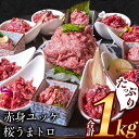 【ふるさと納税】赤身ユッケ桜うまトロセット 計1kg 1000g ユッケ 桜うまトロ(ネギトロ) 馬肉 冷凍 《60日以内に出荷予定(土日祝除く)》 新鮮 さばきたて 真空パック 肉 熊本県南阿蘇村 馬刺し おつまみ