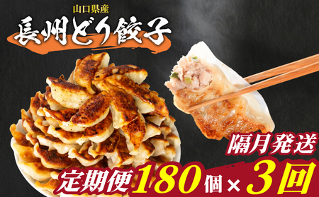 訳あり 長州どり餃子 180個 定期便 隔月3回 餃子 ギョウザ IB