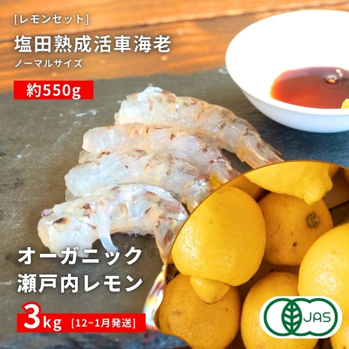 【ふるさと納税】オーガニック瀬戸内レモン 3kg(12~1月発送) / 塩田熟成活車海老 ノーマルサイズ 550g(11~2月) オーガニック 有機レモン 有機JAS 果汁100% レモン えび エビ エビフライ 晩酌 国産 瀬戸内 濃厚 免疫力向上 健康 ビタミンC クエン酸 抗酸化 ソーダ 炭酸水