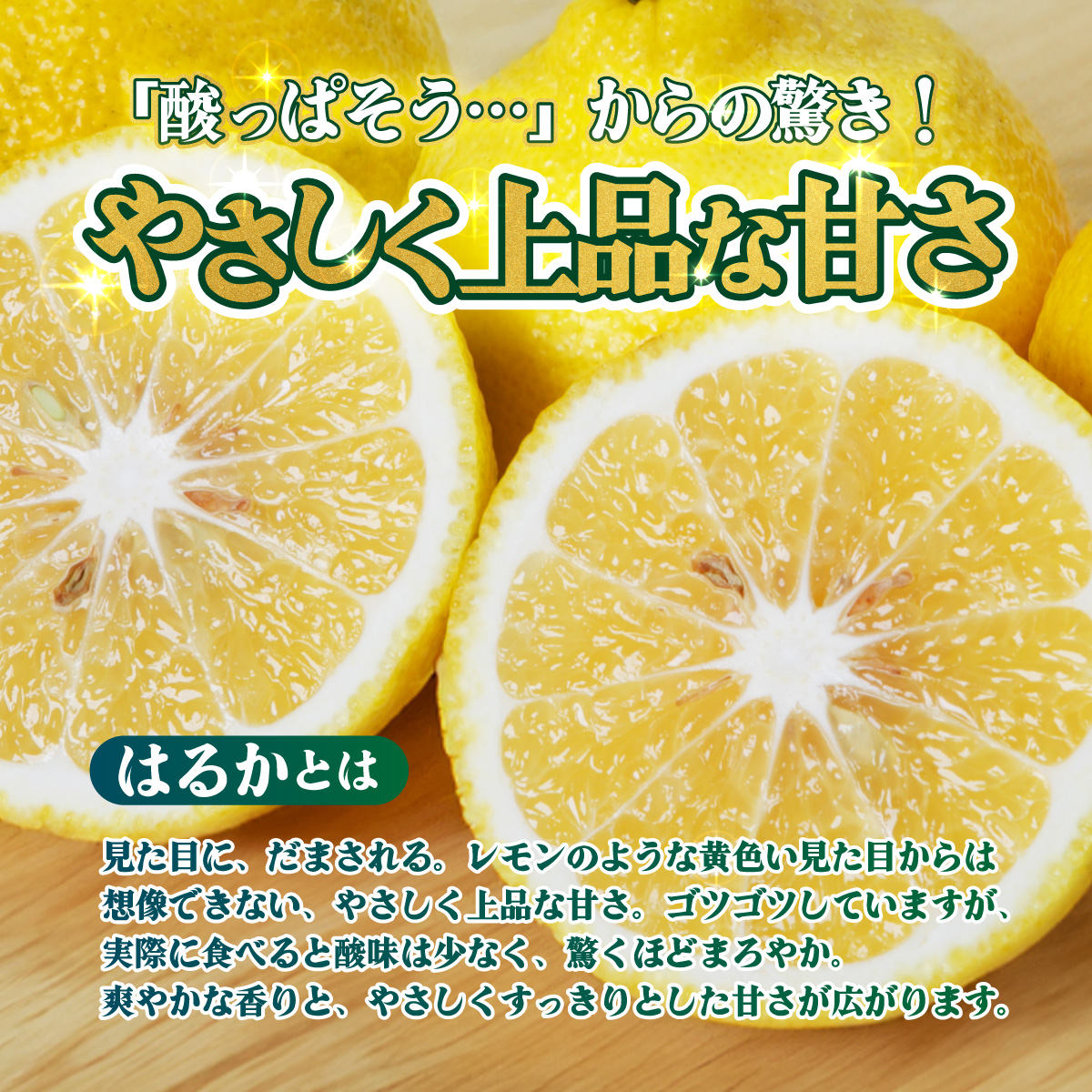 ＜【訳あり】愛媛県産 はるか 約3kg＞『2027年2月中旬～3月上旬迄順次発送予定』わけあり 訳アリ 果肉 ハルカ 産地直送 みかん 蜜柑 訳あり 果物 くだもの フルーツ ミカン 果汁 国産 特産