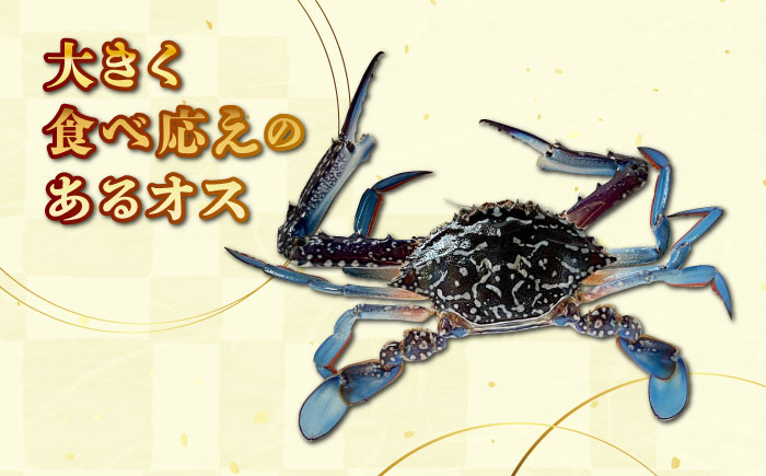 【先行予約】【2026年8月以降順次発送】豊前海産 タイワンガザミ 2kg (10～24杯前後) オス メス セット 《築上町》【明青丸】 ワタリガニ 渡り蟹 蟹 カニ [ABCB003] 27000