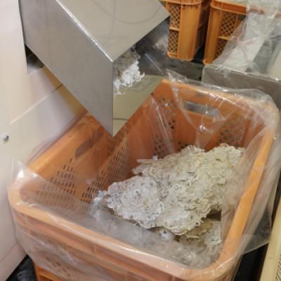 ふるさと納税 伊予市 そのまんま貝柱 10g×10個セット 薄焼き オカベ|B134 |  | 03