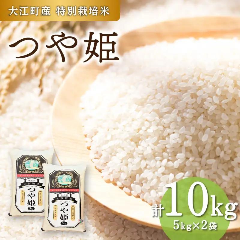 大江町産 つや姫 10kg(5kg×2袋)【山形県産 特別栽培米】【2025年度産米】 001-085