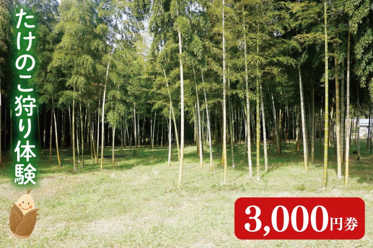 
                  【2026年3月下旬より発送開始】『茨城県阿見町』1日2組限定 たけのこ狩り体験 3,000円券｜収穫体験 食育  農業体験 自然体験 旬 春限定 レジャー タケノコ 筍 季節イベント（23-02）
                