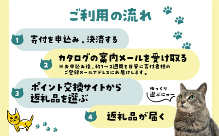 ＼30品から選べる／ 猫助けオンラインカタログ 30万円 有効期限なし 後から選べる 猫 ネコ ねこ 保護猫 スイーツ カタログ 焼肉 ラーメン 特産品 グルメ 無期限 飛騨牛 スイーツ ラーメン 日