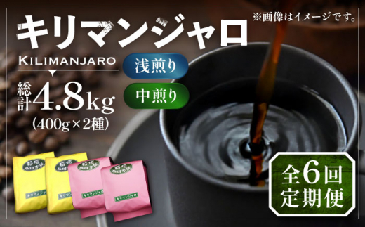 【豆でお届け】【全6回定期便】キリマンジャロ コーヒー 2種 ( 浅煎り フルーツフレーバー ＆ 中煎り チョコレートフレーバー )《豊前市》【稲垣珈琲】珈琲 コーヒー 豆 粉 [VAS192]