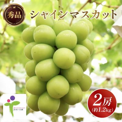 ふるさと納税 山梨市 【発送月固定定期便】JAフルーツ山梨定期便 全3回 |  | 02